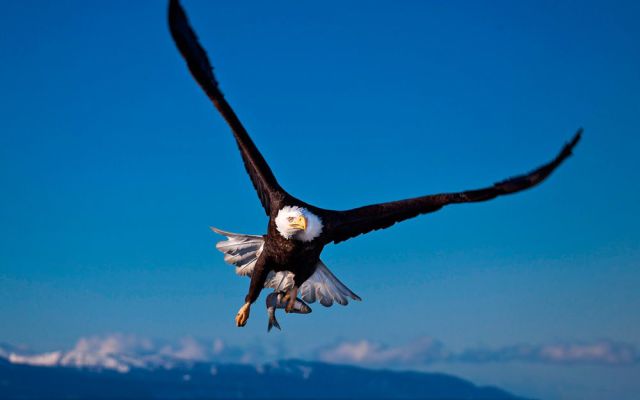 morning picdump 55 pics 23.html - 55 HD Photos | Premium Gallery 2014