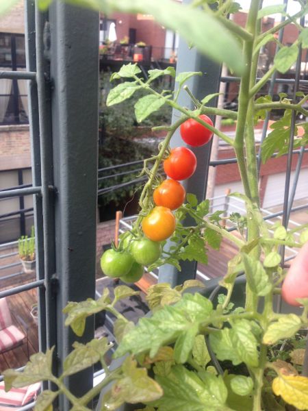 morning picdump 55 pics 23.html - 55 HD Photos | Premium Gallery 2014