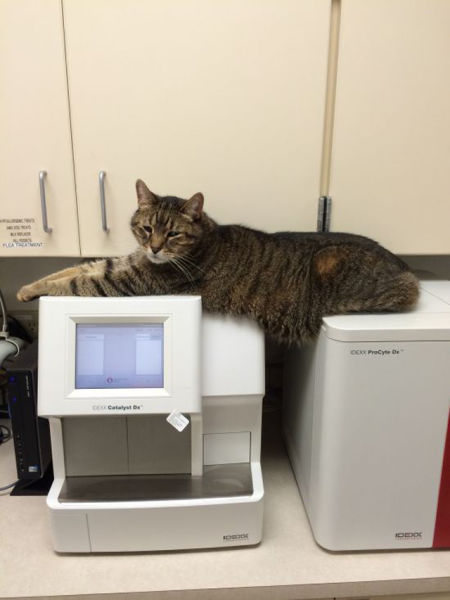 Even Work Has Its Amusing Moments