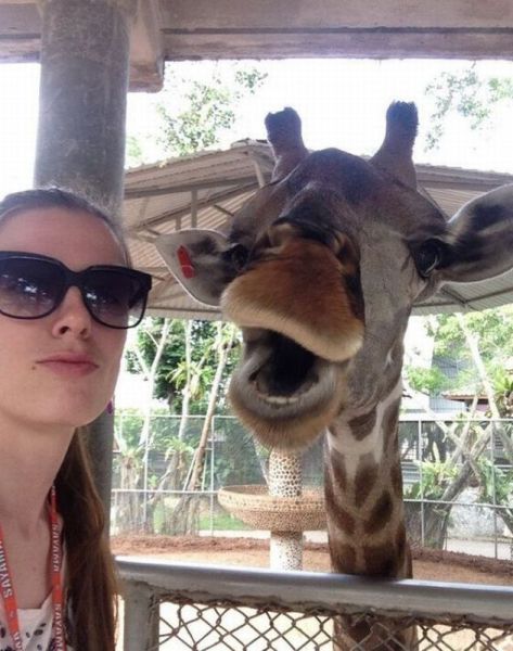 morning picdump 58 pics 5.html - 58 HD Photos | Premium Gallery 2014