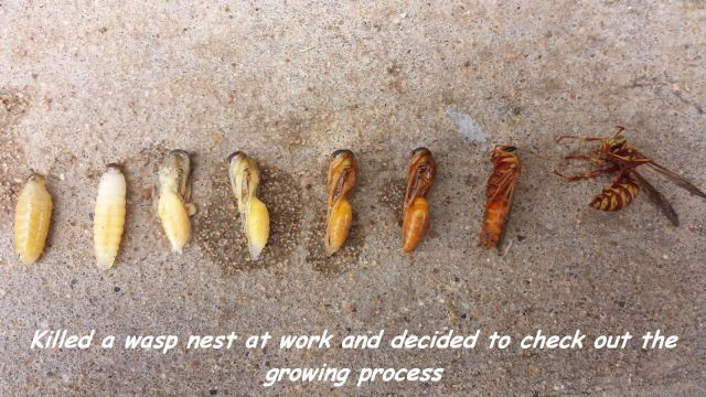 morning picdump 58 pics 5.html - 58 HD Photos | Premium Gallery 2014