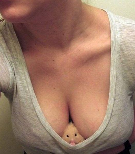 grownup corner 42 pics 21 gifs 14.html - 42 HD GIF | Premium Gallery 2014