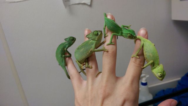 morning picdump 59 pics 14.html - 59 HD Photos | Premium Gallery 2014