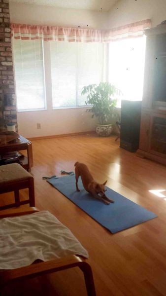 morning picdump 59 pics 14.html - 59 HD Photos | Premium Gallery 2014