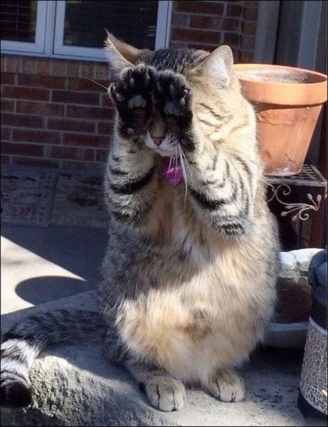 morning picdump 59 pics 14.html - 59 HD Photos | Premium Gallery 2014