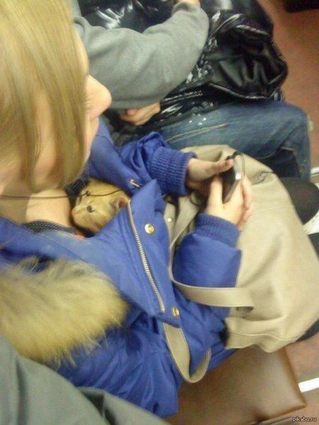 morning picdump 59 pics 14.html - 59 HD Photos | Premium Gallery 2014