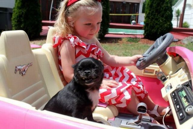 morning picdump 59 pics 14.html - 59 HD Photos | Premium Gallery 2014