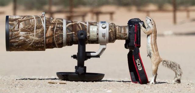 morning picdump 57 pics 17.html - 57 HD Photos | Premium Gallery 2014