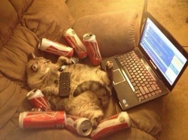 morning picdump 57 pics 17.html - 57 HD Photos | Premium Gallery 2014