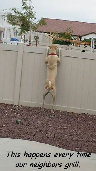 morning picdump 57 pics 17.html - 57 HD Photos | Premium Gallery 2014