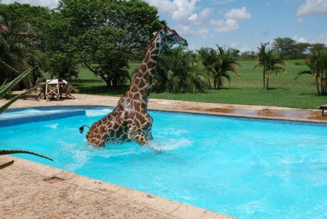 morning picdump 59 pics 14.html - 59 HD Photos | Premium Gallery 2014