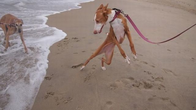 morning picdump 59 pics 14.html - 59 HD Photos | Premium Gallery 2014