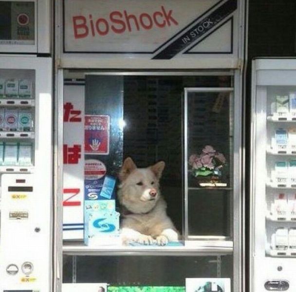 morning picdump 59 pics 14.html - 59 HD Photos | Premium Gallery 2014