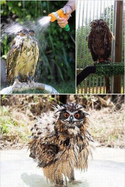 page,2,top 500 morning pics of the year 2014.html - 1 HD Photos | Premium Gallery 2014