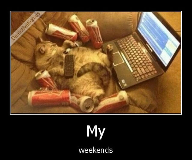 Funny Picdump