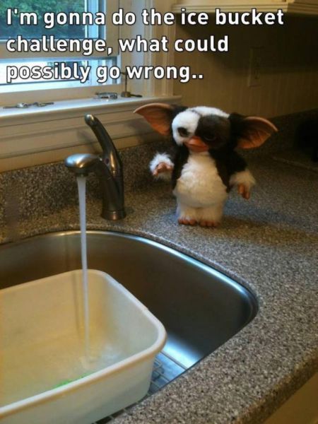 funny picdump 50 pics 13.html - 50 HD Photos | Premium Gallery 2014