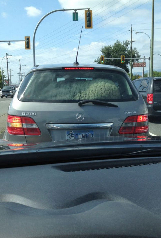 Funny Picdump