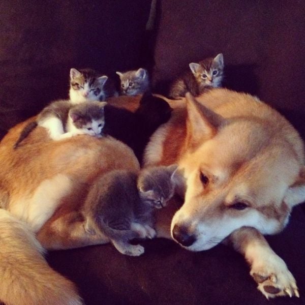Morning Picdump