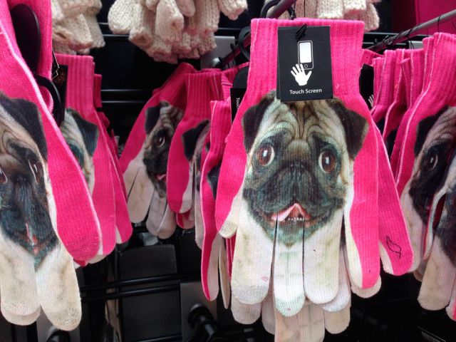 Morning Picdump