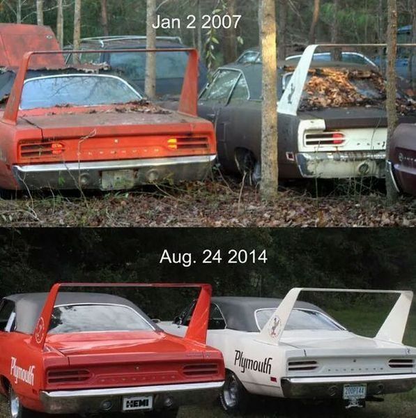 Morning Picdump