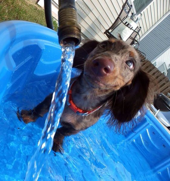Morning Picdump