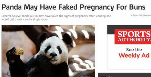 Morning Picdump