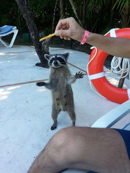 daily picdump 93 pics 12.html - 93 HD Photos | Premium Gallery 2014