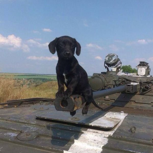 page,8,top 500 morning pics of the year 2014.html - 1 HD Photos | Premium Gallery 2014