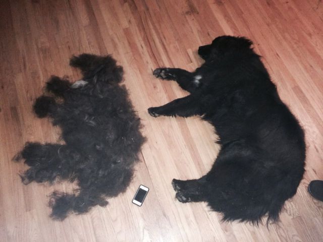 morning picdump 54 pics 21.html - 54 HD Photos | Premium Gallery 2014