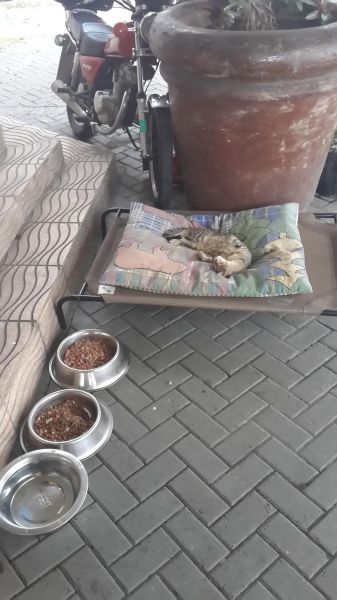 page,6,top 500 morning pics of the year 2014.html - 1 HD Photos | Premium Gallery 2014