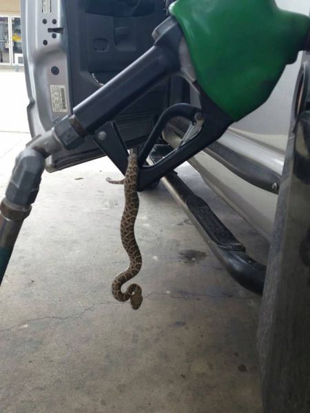 morning picdump 56 pics 17.html - 56 HD Photos | Premium Gallery 2014