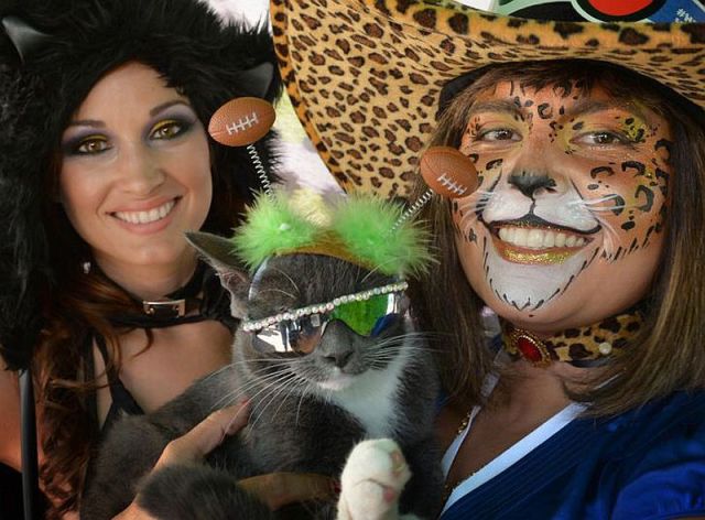 morning picdump 56 pics 17.html - 56 HD Photos | Premium Gallery 2014