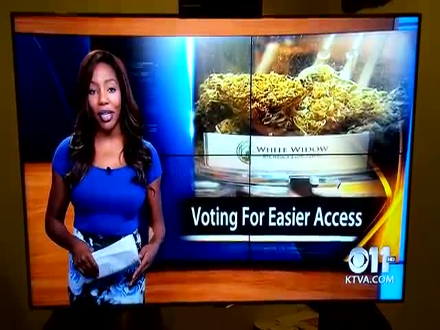 Reporter Quits Her Job Live on Air like a Boss (VIDEO)