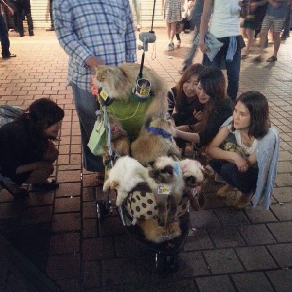 Daily Picdump