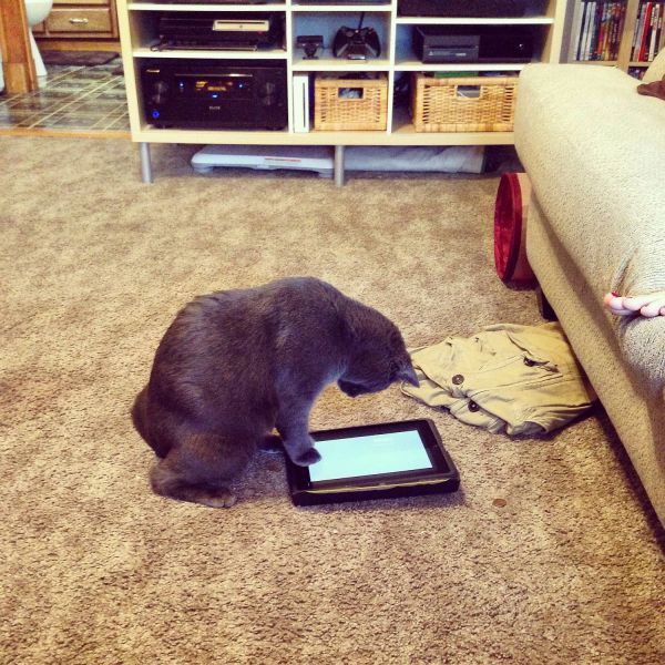Morning Picdump