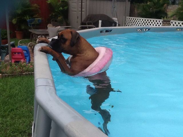 morning picdump 56 pics 12.html - 56 HD Photos | Premium Gallery 2014