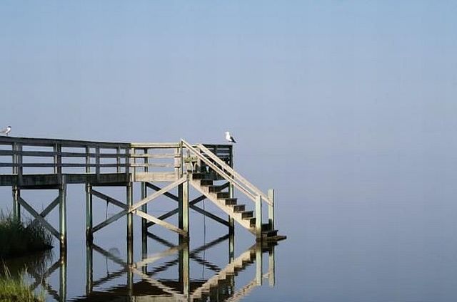 morning picdump 57 pics 21.html - 57 HD Photos | Premium Gallery 2014