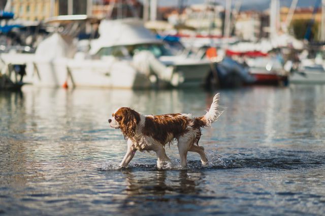 morning picdump 57 pics 21.html - 57 HD Photos | Premium Gallery 2014