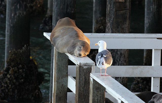 morning picdump 57 pics 21.html - 57 HD Photos | Premium Gallery 2014