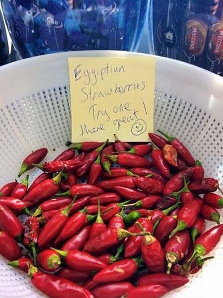 morning picdump 55 pics 14.html - 55 HD Photos | Premium Gallery 2014