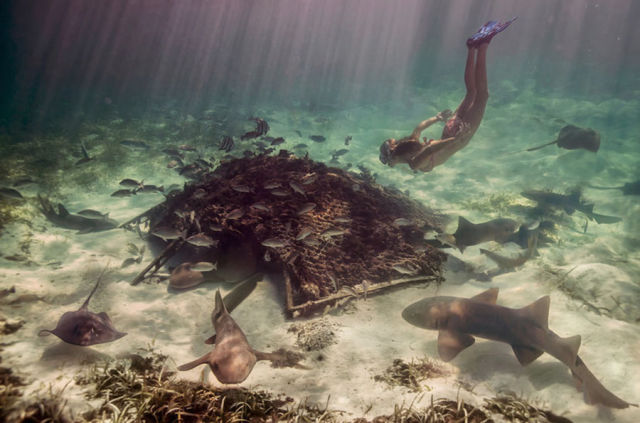 This Woman Could Be a Real Life Mermaid