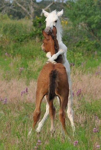 daily picdump 97 pics 40.html - 97 HD Photos | Premium Gallery 2014