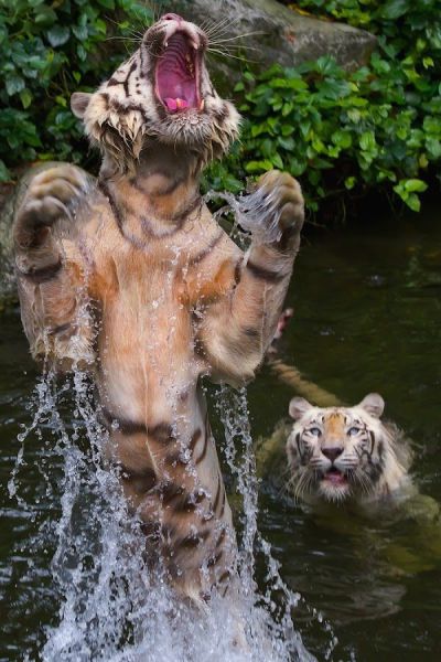 morning picdump 58 pics 12.html - 58 HD Photos | Premium Gallery 2014