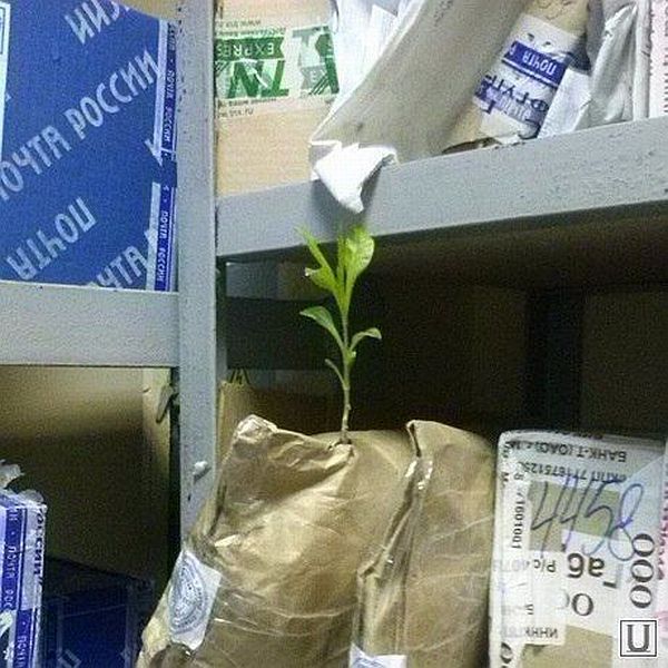 daily picdump 96 pics 42.html - 96 HD Photos | Premium Gallery 2014