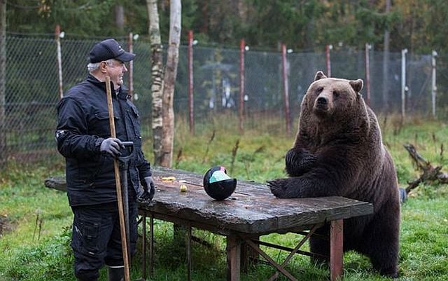 daily picdump 92 pics 3.html - 92 HD Photos | Premium Gallery 2014