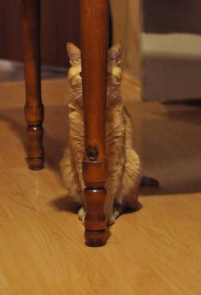 daily picdump 92 pics 3.html - 92 HD Photos | Premium Gallery 2014