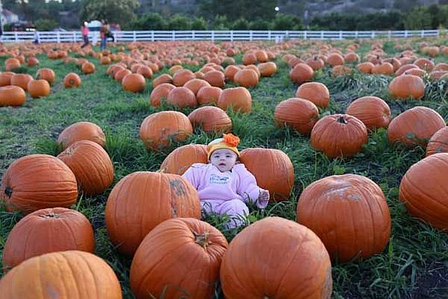 morning picdump 54 pics 3.html - 54 HD Photos | Premium Gallery 2014