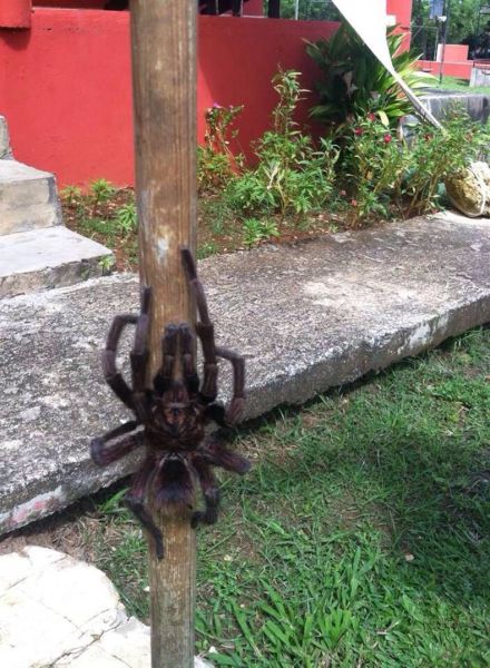 daily picdump weekend edition 65 pics 24.html - 65 HD Photos | Premium Gallery 2014