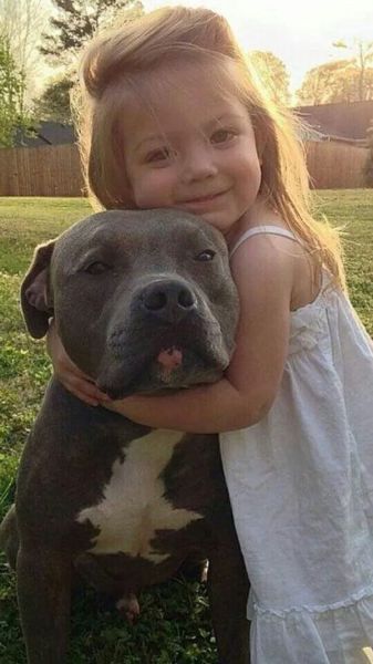 daily picdump 102 pics 50.html - 102 HD Photos | Premium Gallery 2014