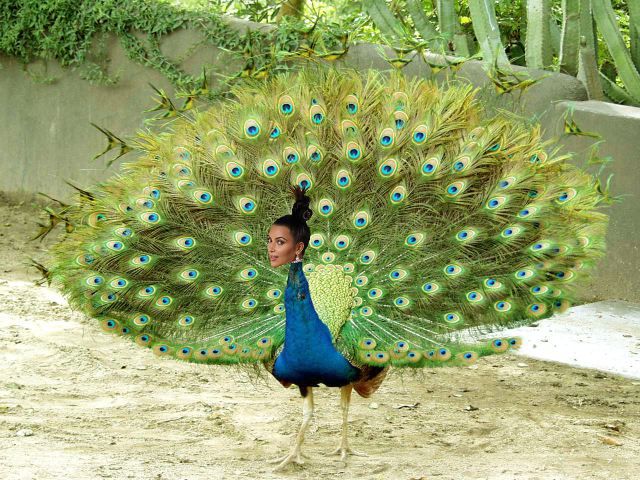 Kim Kardashian’s Ass Is More Famous Than She Is